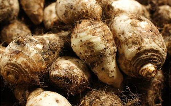 ȱ�س�ʲô ���ص�ʳ������Щ